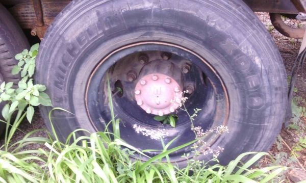 ISUZU-10ล้อ.ร๊อคกี้.195.2เพลา.ครัชซีสวย.เครื่องแน่น.บะเนียม.ตามสภาพครับ.ราคา.750.000บ ISUZU-10ล้อ.ร๊อคกี้.195.2เพลา.ครัชซีสวย.เครื่องแน่น.บะเนียม.ตามสภาพครับ.ราคา.750.000บ