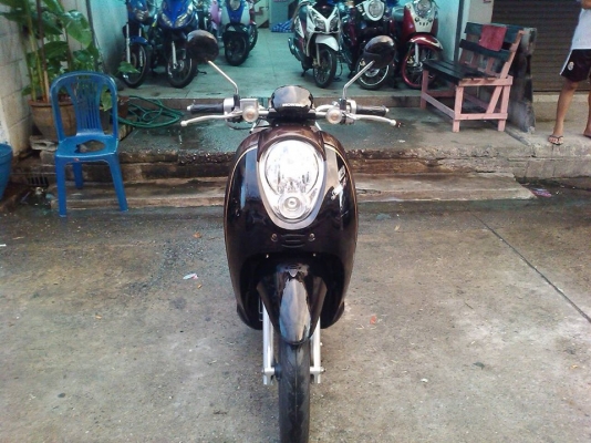scoopy i ปี 53 พรีเมี่ยม สีดำ น้ำตาล หลุดจำนำ เอกสารจำนำครบ โอนไม่ได้ ต่อภาษี พรบ.ได้ปกติ  หมาะสำหรับใช้ตจว.หรือขับในหมู่บ้าน คุ้มๆๆๆรถs