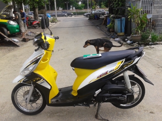 ขายด่วน Mio 115i ราคา 18500 บาท รถสวยสภาพดี รถเดิมๆ เครื่องเดิมๆ เอกสารครบพร้อมชุดโอน ภาษี พรบ.ยังไม่ขาด สนใจโทร 089-8859869 เดช  *** ยินดีรับบัตรเครดิตทุกธนาคาร ***