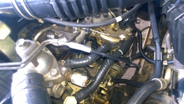 tigerปี2000สวยๆๆๆ tigerปี2000สวยๆๆๆ