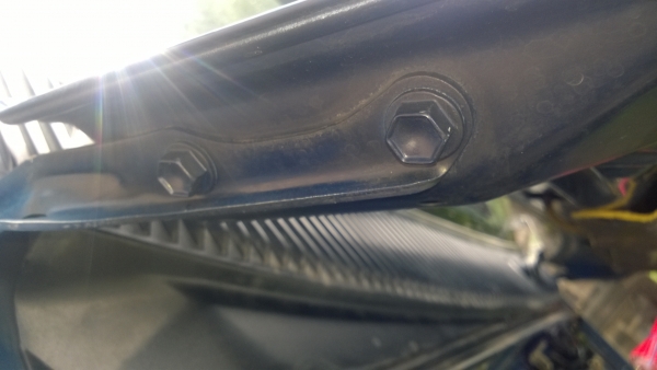 tigerปี2000สวยๆๆๆ tigerปี2000สวยๆๆๆ