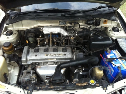 ขายโซลูน่าติดแก๊สหัวฉีด Energy reform