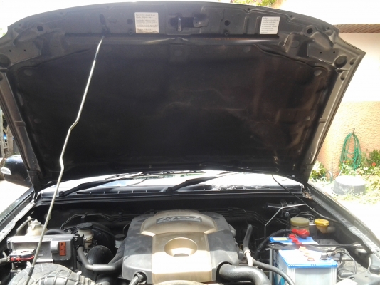 ขายครับรถอุบัติเหตุฮ้อยยกรถล้มทับ อีซูซุเครื่อง3000cc 4X4 ปี2006 รถขับได้ปรกติ แอร์เย็นเจี๊ยบ ล้อแม็ก พื้นไลเนอร์ ประด้านซ้ายด้านบนเสียครับ มาลองขับได้ครับ ซ่อมอีกประมาณ35000บาทครับ ขอตัดขาย 265000 บาท ทะเบียนพร้อมเอกสารพร้อมโอนขี้เกียจทำรถมีหลายคันครับ ขายครับรถอุบัติเหตุฮ้อยยกรถล้มทับ อีซูซุเครื่อง3000cc 4X4 ปี2006 รถขับได้ปรกติ แอร์เย็นเจี๊ยบ ล้อแม็ก พื้นไลเนอร์ ประด้านซ้ายด้านบนเสียครับ มาลองขับได้ครับ ซ่อมอีกประมาณ35000บาทครับ ขอตัดขาย 265000 บาท ทะเบียนพร้อมเอกสารพร้อมโอนขี้เกียจทำรถมีหลายคันครับ