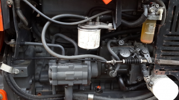 ขายใบดัน