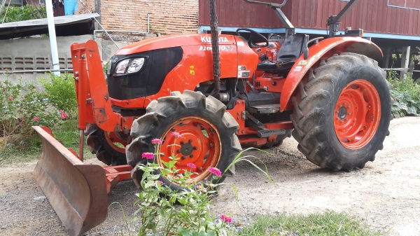 ขายใบดัน