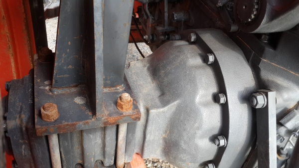 ขายใบดัน