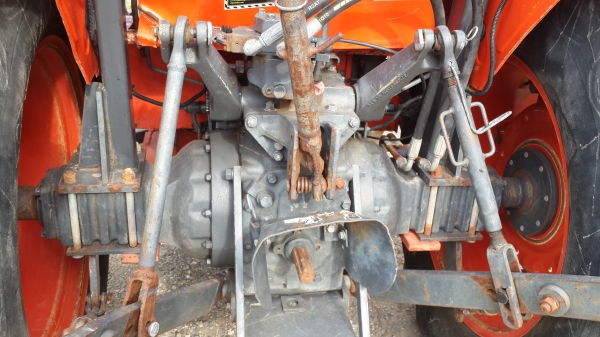 ขายใบดัน