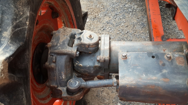 ขายใบดัน