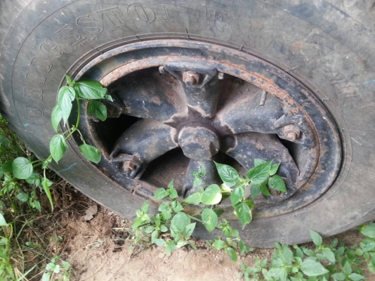 6ล้ออินเตอร์..เครื่องเดิม6สูบดีเซล...ไม่มีเล่ม..เก่าเก็บ..ขายถูกๆ