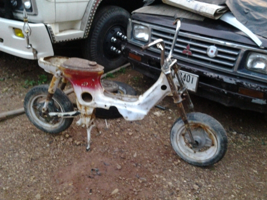 ขายโครงชาลีถูกๆ