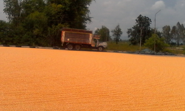 หน้ายาวดั๊ม ช่วงล่างฟูโซ่เพลาเดียว