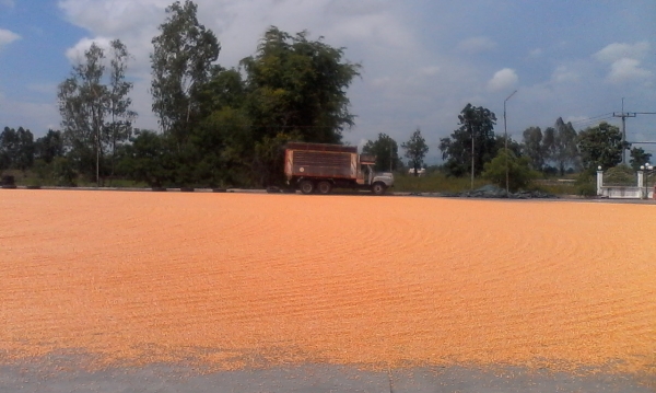 หน้ายาวดั๊ม ช่วงล่างฟูโซ่เพลาเดียว