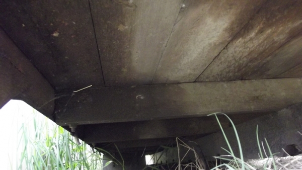 ขายกระบะคาร์โก้ 6 ล้อกลาง