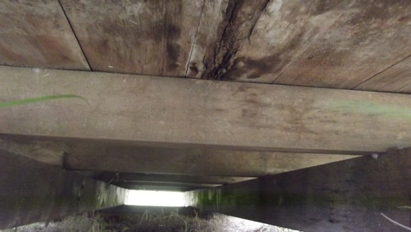 ขายกระบะคาร์โก้ 6 ล้อกลาง