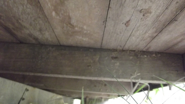 ขายกระบะคาร์โก้ 6 ล้อกลาง