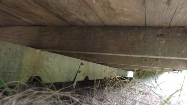 ขายกระบะคาร์โก้ 6 ล้อกลาง