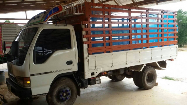 ขาย NPR  145แรงเทอร์โบว์ 530,000 ต่อรองได้