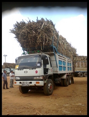 สิบล้อซูโม่ 227 วางหัวสิงไฮเทค สภาพสวยๆ