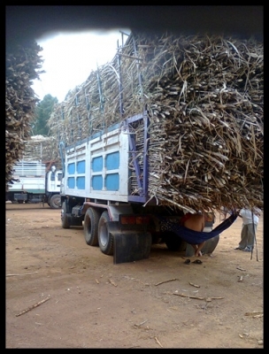 สิบล้อซูโม่ 227 วางหัวสิงไฮเทค สภาพสวยๆ