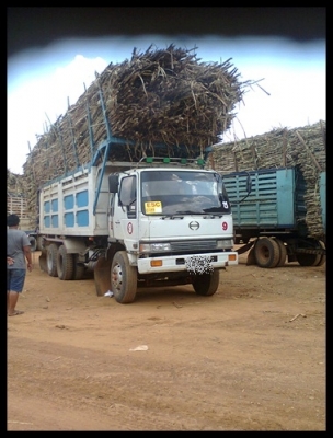 สิบล้อซูโม่ 227 วางหัวสิงไฮเทค สภาพสวยๆ