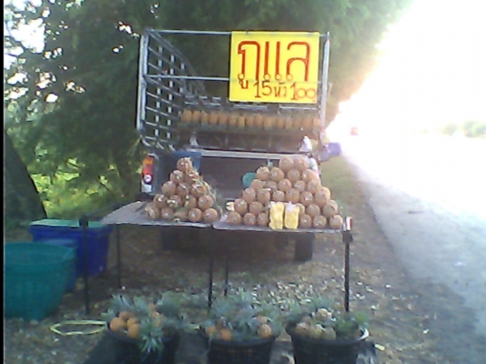 ขายคอกบรรทุก ไทรทันแค็บ