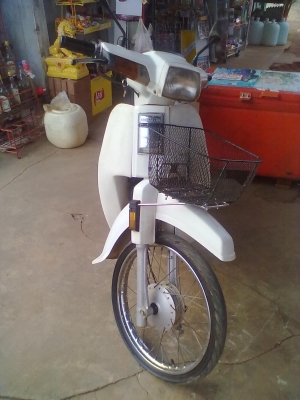 ขายฮอนด้าดรีมเดิม ขายฮอนด้าดรีมเดิม