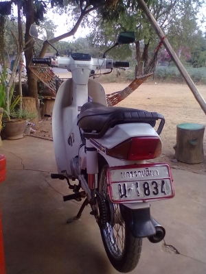 ขายฮอนด้าดรีมเดิม ขายฮอนด้าดรีมเดิม