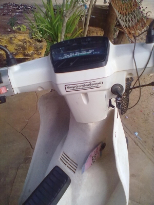 ขายฮอนด้าดรีมเดิม ขายฮอนด้าดรีมเดิม