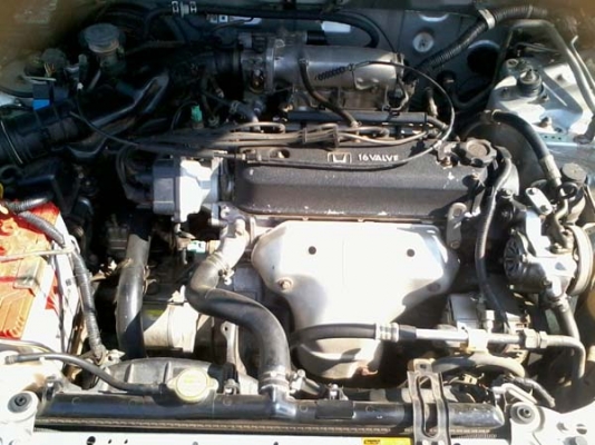 ฮอนด้า แอคครอท สภาพเทพ เจ้าเดียวมือเดียว