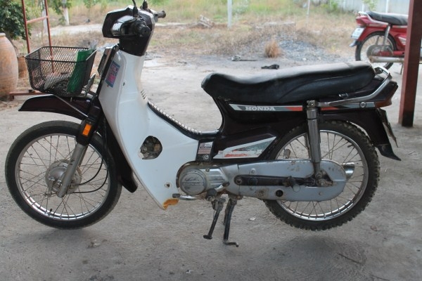 ขาย ดรีม คุรุ สีน้ำตาล โอน+เต็ม สภาพดี ขาย ดรีม คุรุ สีน้ำตาล โอน+เต็ม สภาพดี