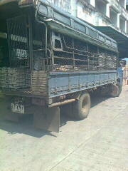 ขายNPRปี 37 ขายNPRปี 37