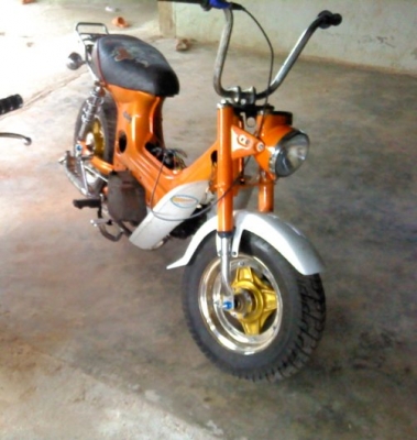 ขายชาลี 12800 บาท no-book ตามรูป โทร 090-7960321