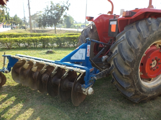 ขายแมสซี่ 185