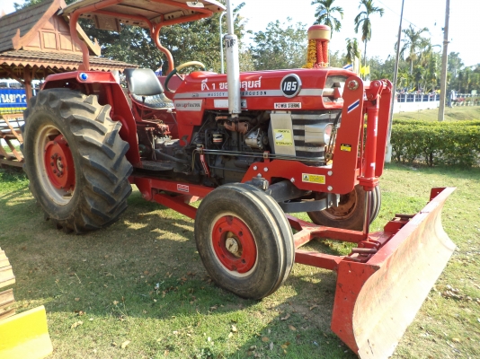 ขายแมสซี่ 185