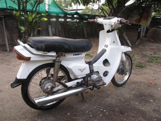 ขาย/แลกดรีมคุรุสภาสีขาว มีเล่มทะเบียน+ชุดโอน (จัดส่งได้)