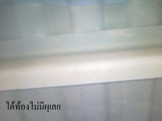 ระงับการขายชั่วคราว ขออภัยทุกท่านครับ ระงับการขายชั่วคราว ขออภัยทุกท่านครับ