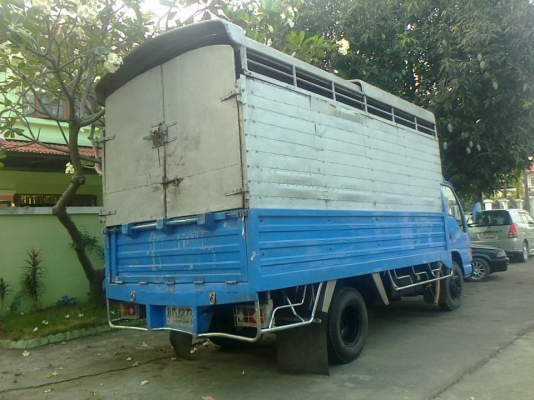 ขาย 6 ล้อ อีซุ NPR 120 แรง ฝาขาว / กระบะสแตนเลส ( รถห้าง ปี 44 )