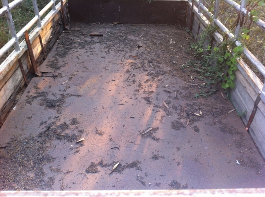 ขายกระบะคาร์โก้ ยกลงจาก NPR ราคาถูกๆๆ