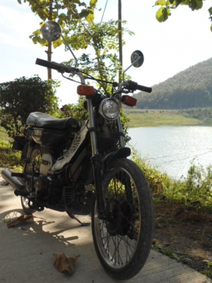 Y80 แต่งชาลี