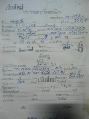 Y80 แต่งชาลี Y80 แต่งชาลี