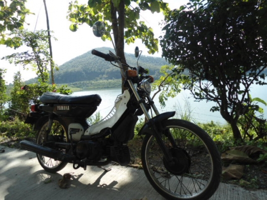 Y80 แต่งชาลี Y80 แต่งชาลี
