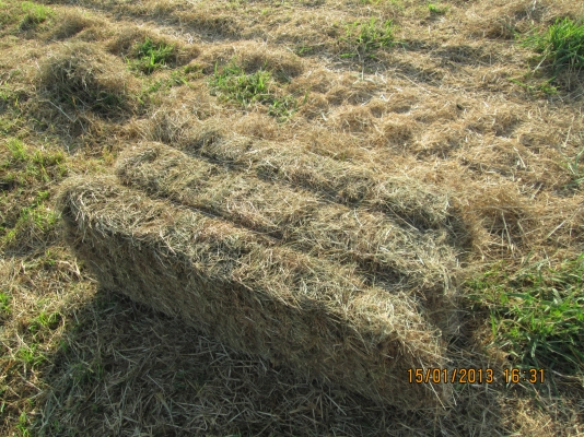 ขายเครื่องอัดฟาง อัตโนมัติ