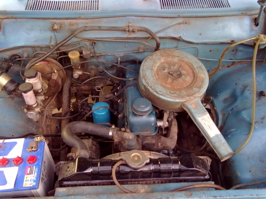 ขายช้างเหยียบ หล่อๆ ล้อล้นๆ 69000