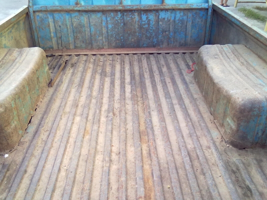 ขายช้างเหยียบ หล่อๆ ล้อล้นๆ 69000