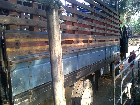 ขายด่วน  NPR115 ปี 2536 ห้างแท้ รถเดิมบางทั้งคัน สวยพร้อมใช้งาน