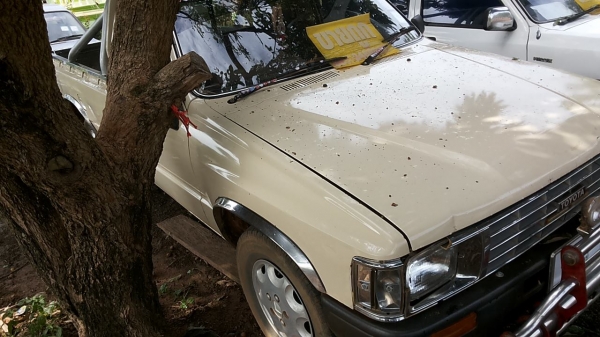 **68,000 บ.ต่อรอง**ขายกระบะตอนเดียวเข้าไร่/เข้าสวน/ขนคนงาน TOYOTA HERO2.4 ปี30 ไมล์หลุมเดียว เครื่องเดิมเกียร์เดิม เครื่องแน่นแห้ง แรงดี เกียร์ดีไม่มีหลุด ช่วงล่างเก็บมาใหม่ คัสซีดามแล้ว แน่นไม่ส่ายไม่เลื้อย กระบะพื้นดี มีผุนิดๆ หัวเก๋งสวย หน้าเดิมๆ ไม่เค