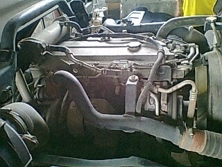 ขายดาวน์6ล้อดั้ม ISUZU 190แรงม้า สนใจโทร 081-9701072