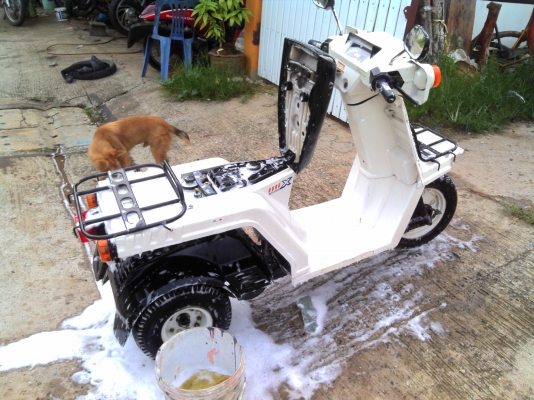 ขายHONDA  GYRO X                 9999