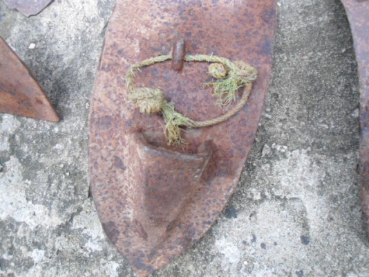 ขายผานไถนา  วัว ควาย สมัยเก่าแก่