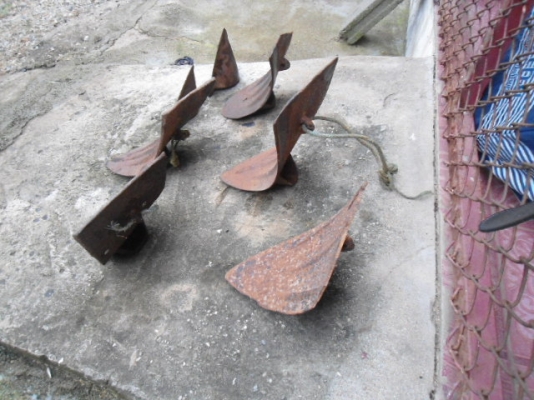 ขายผานไถนา  วัว ควาย สมัยเก่าแก่